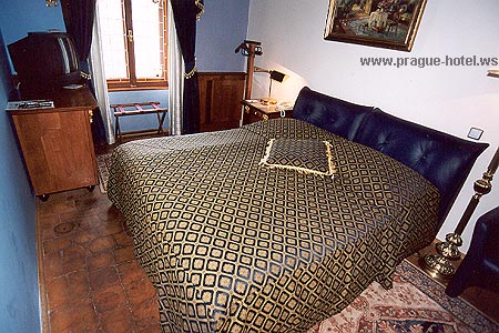 Prague hotel U Pava photo