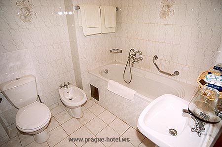 Photo of hotel U Pava