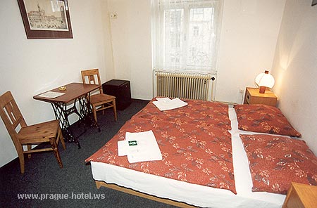 Beetle pension photo