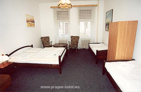 pension Beetle picture