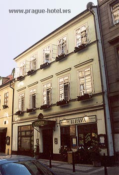 Pictures and photos of Hotel Pav in Prague